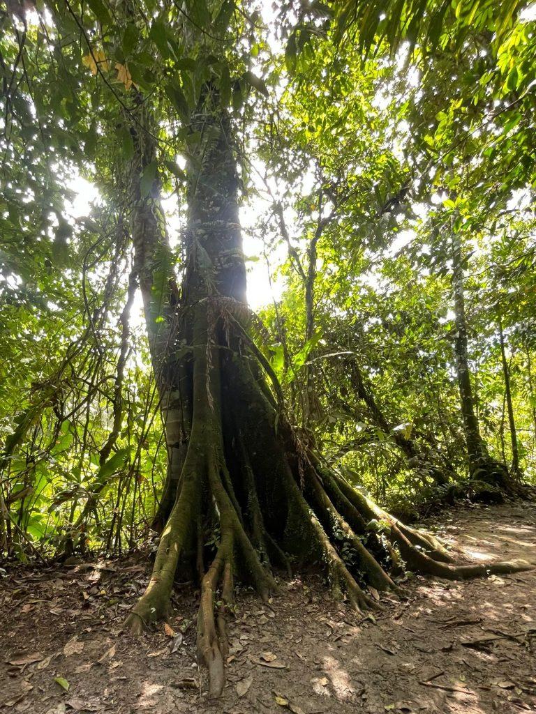 Transformational retreats and journeys