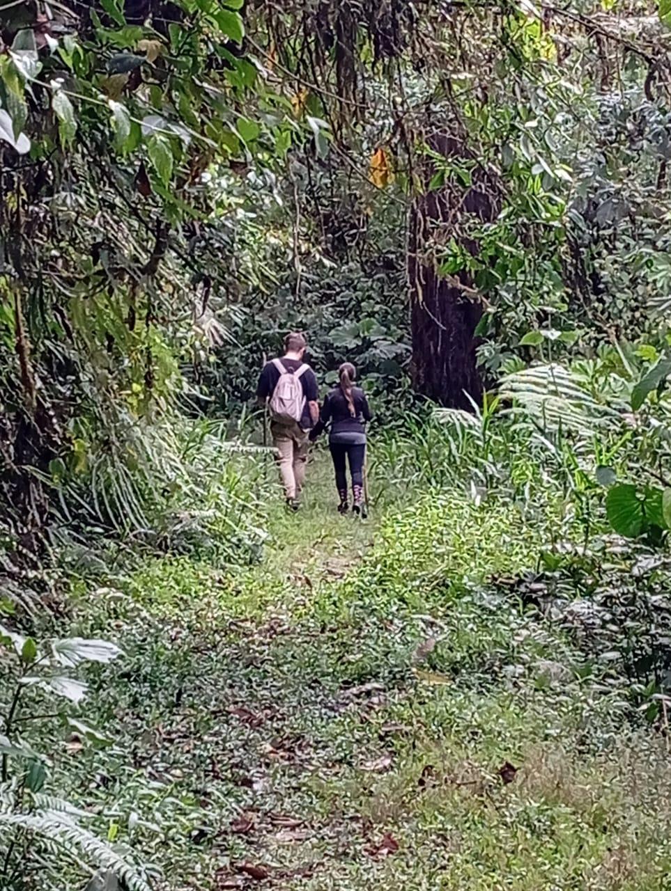 Terapia de Parejas