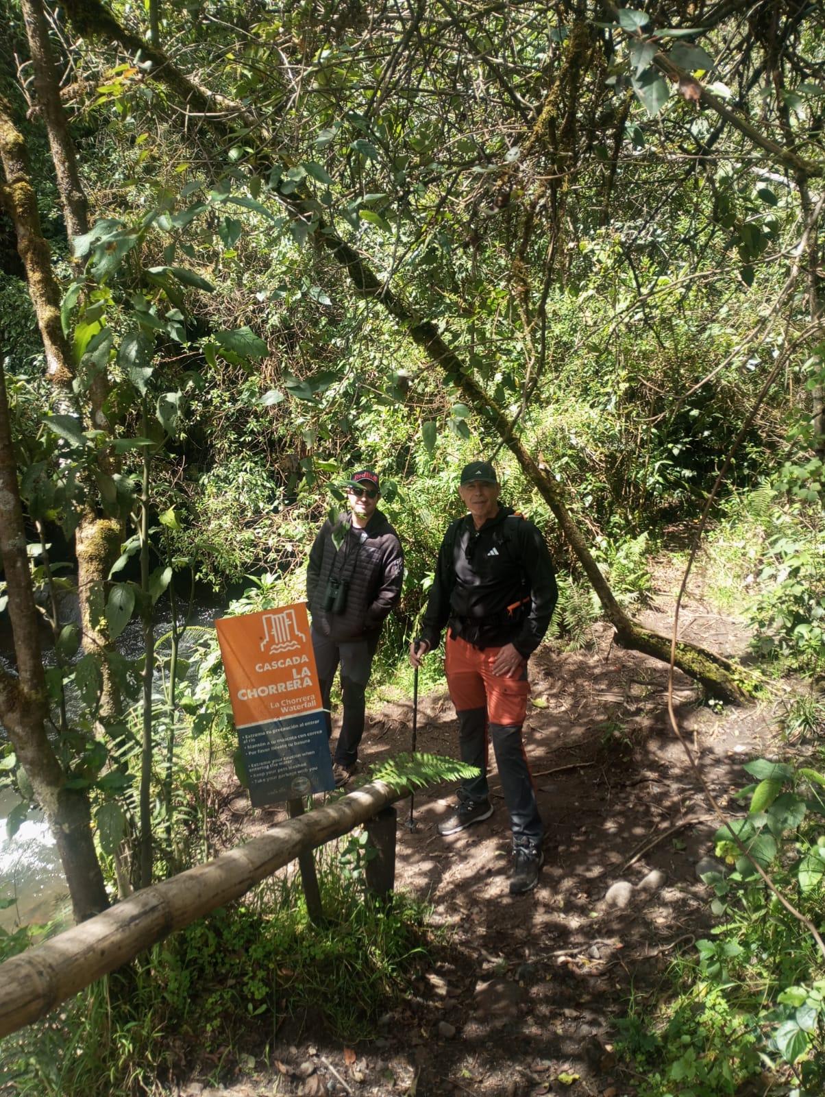 Caminatas conscientes