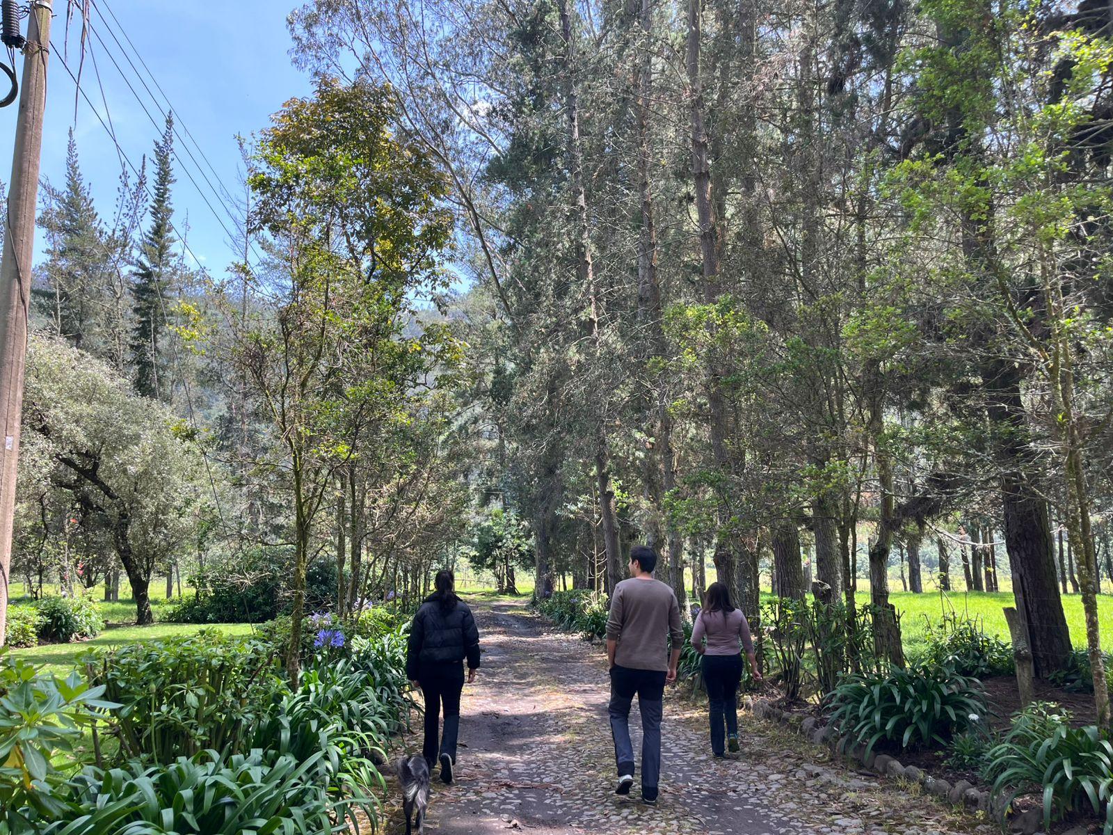 Caminatas conscientes